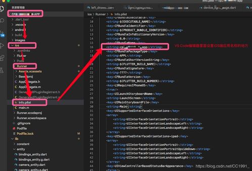 Flutter開(kāi)發(fā)中設(shè)置iOS應(yīng)用名稱(chēng)與圖標(biāo) 從配置到發(fā)布的完整指南