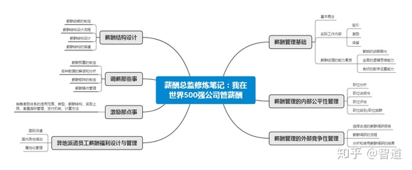 薪酬總監(jiān)修煉筆記 解碼世界500強公司的薪酬管理智慧